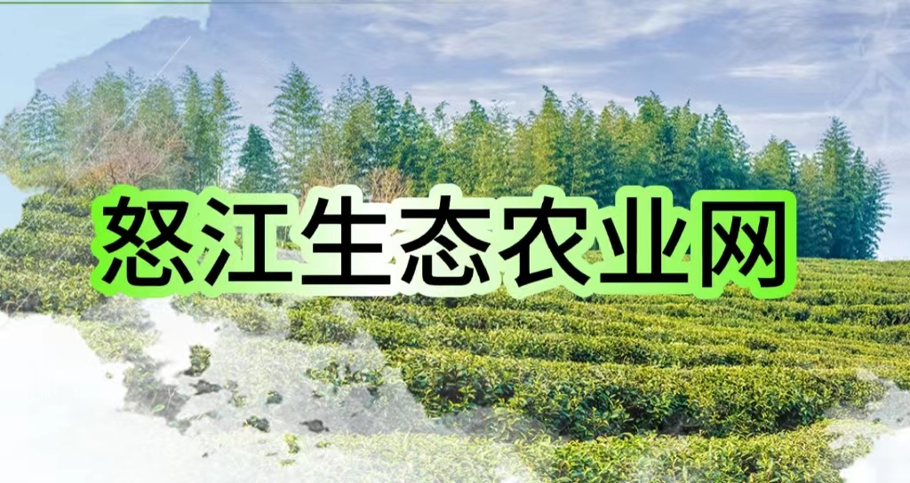 ŭ����̬ũҵ��