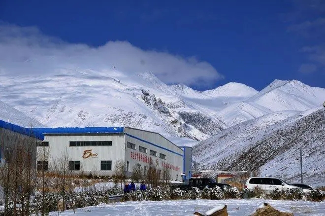 �й���ԭѩ���̳�