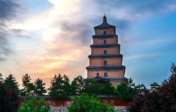 �й�����