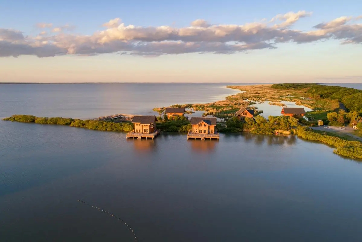 �����˿���