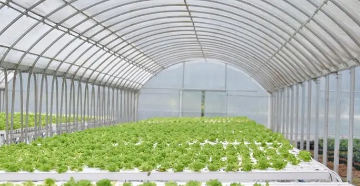 �Ĵ�����ƽ̨