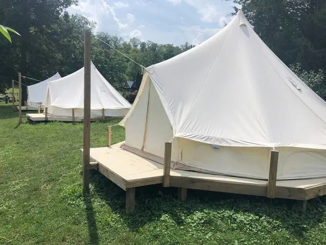 �й�����Ӧ��