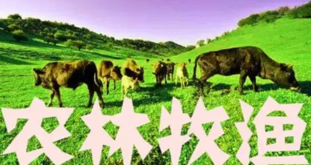 ȫ��ũ��������ҵ