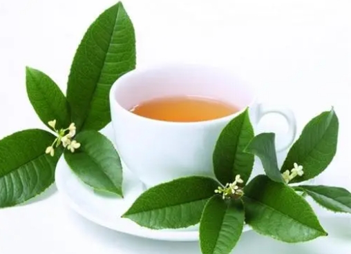 ���ϱ���ʳƷ