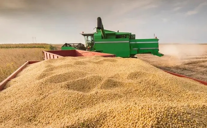 �й���ʳ������