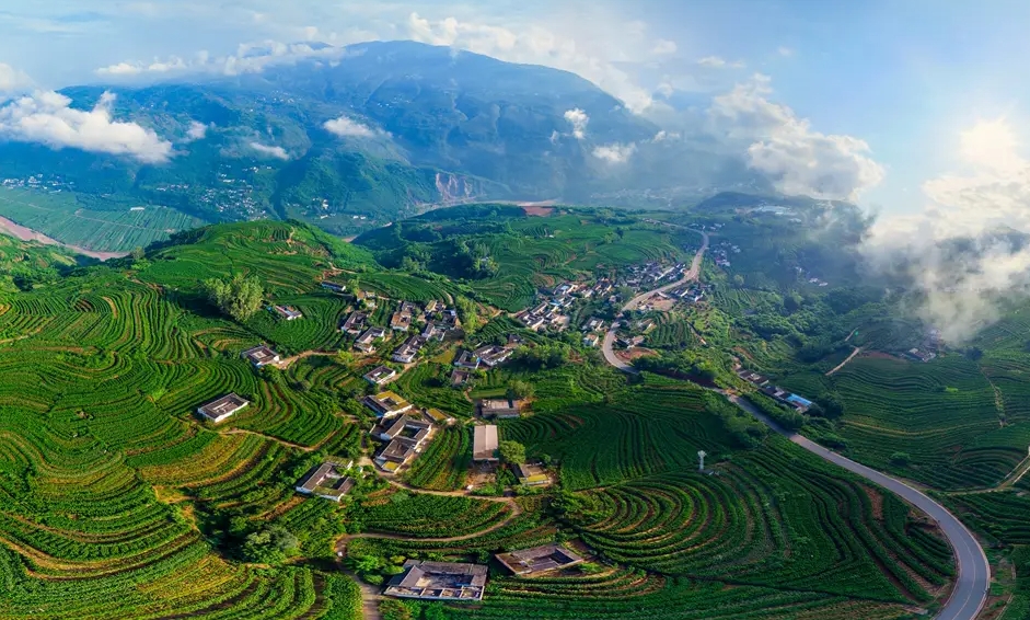 ����ɽ������