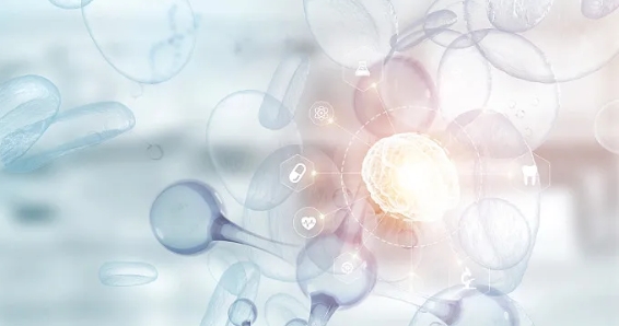 �й�ҽѧ����