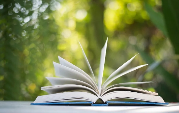 ������ϵ��