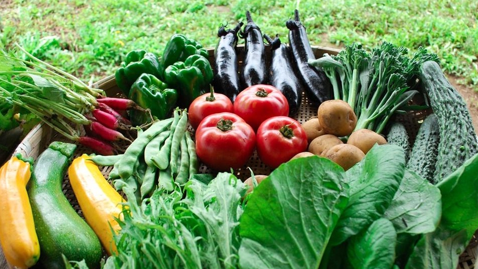 ��ɫũ����Ʒ