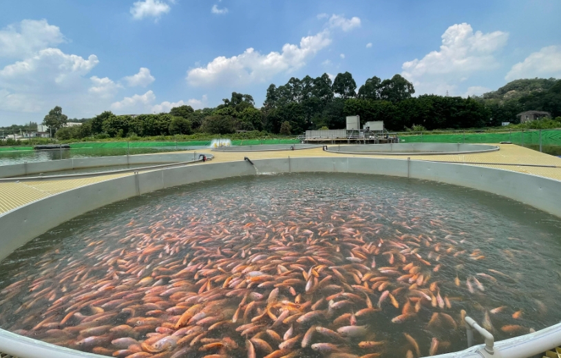 �й�ˮ����ֳ