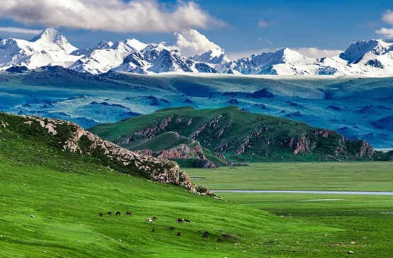 �й���ԭ����