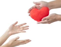 �й�������