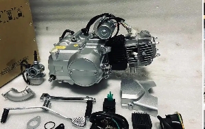 �й���ɭ����