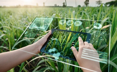 �й���ɫ��̬ũҵ����