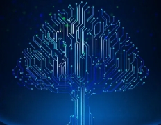 �����Ƽ�