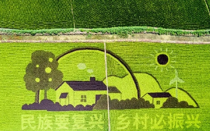 �½��������