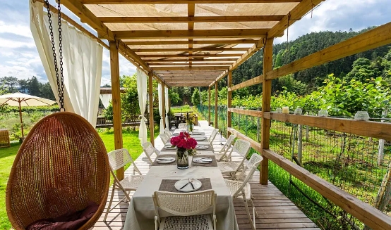 �й�������ƽ̨