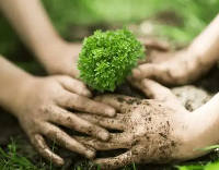 �й���̬������ҵ