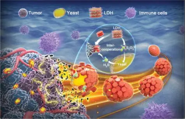 �й���������