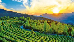 �й����ÿ�����